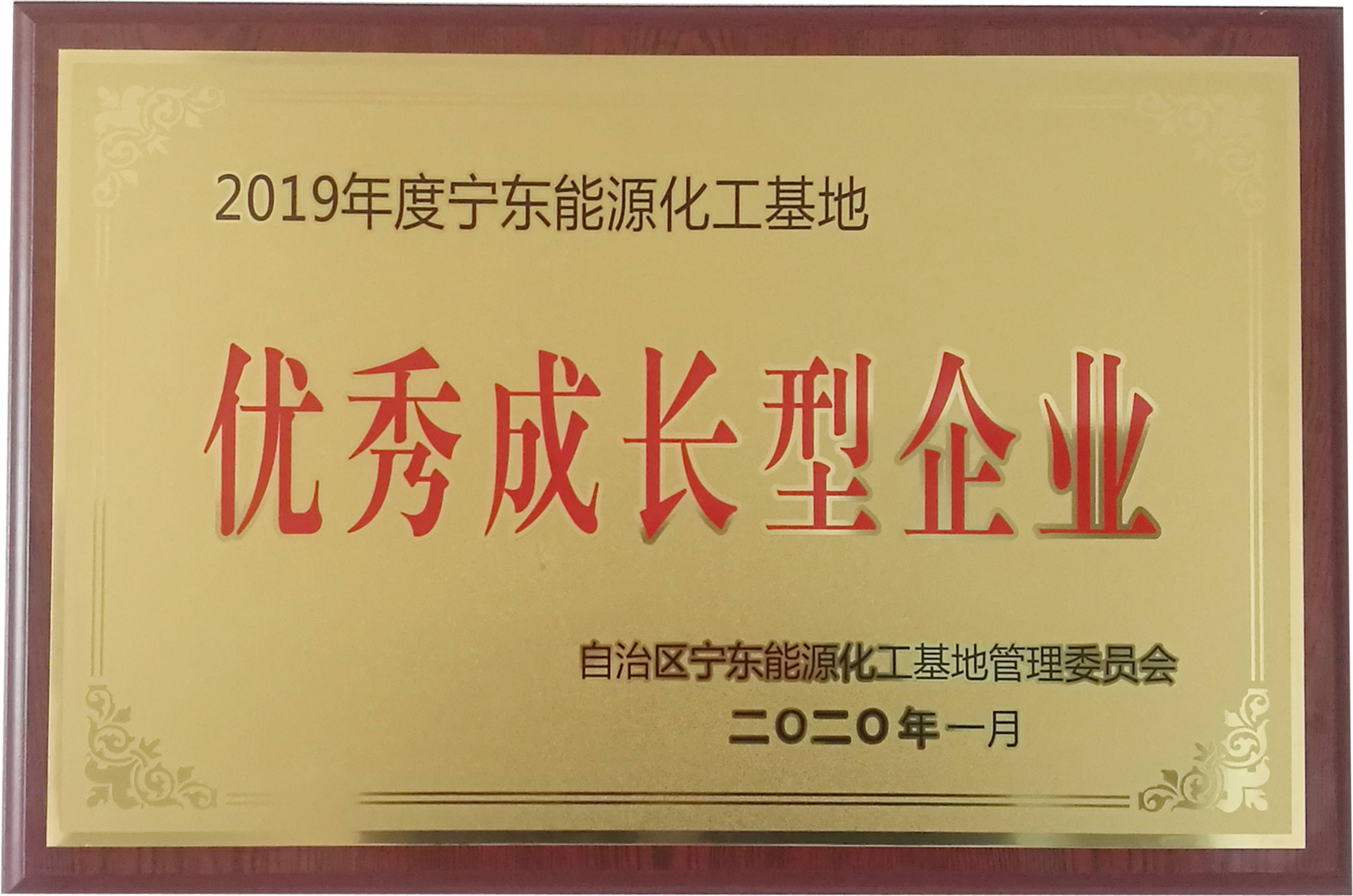 优良成长型企业